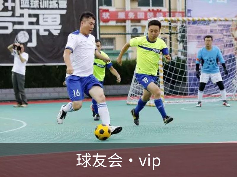 球友会·vip简介